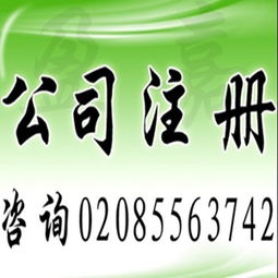 廣州工商注冊 代理記賬,公司注冊價格 廣州工商注冊 代理記賬,公司注冊型號規(guī)格